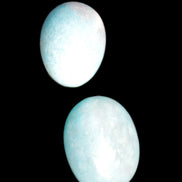 Blue Trolleite stones 15mm-23mm 12-15g Rocks and Things