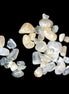 Britannia Creek 40 high-quality crystals clear mix 17g Rocks and Things