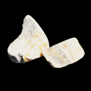 Bumblebee Jasper two natural stones 36-40g Rocks and Things Store