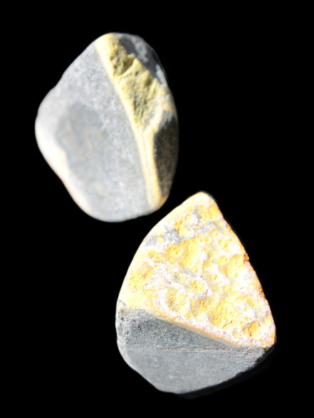 Bumblebee Jasper two natural stones 36-40g Rocks and Things Store