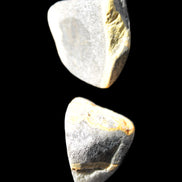 Bumblebee Jasper two natural stones 36-40g Rocks and Things Store