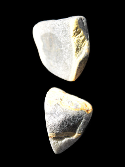 Bumblebee Jasper two natural stones 36-40g Rocks and Things Store
