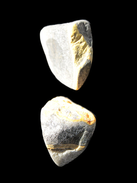 Bumblebee Jasper two natural stones 36-40g Rocks and Things Store