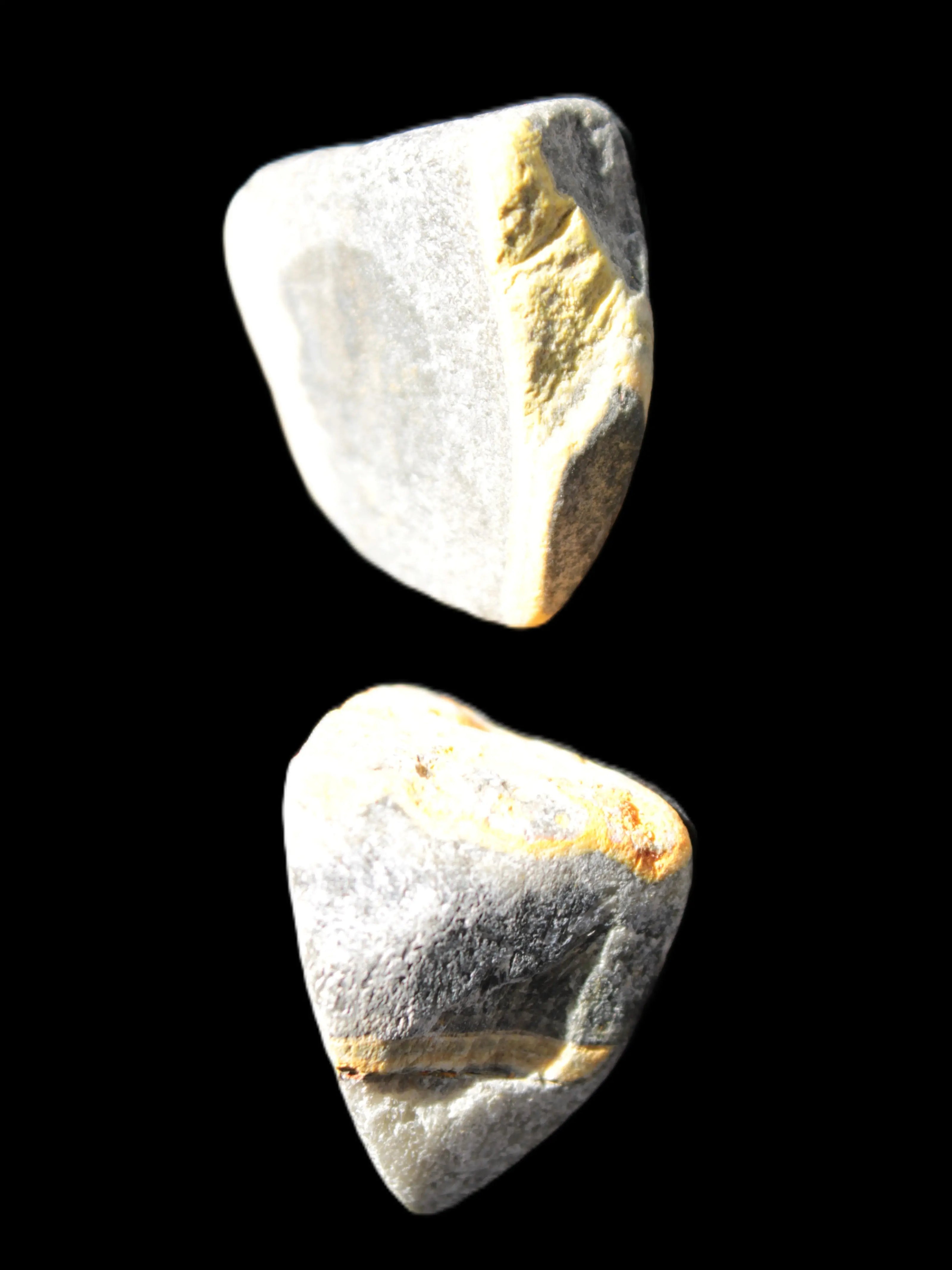 Bumblebee Jasper two natural stones 36-40g Rocks and Things Store