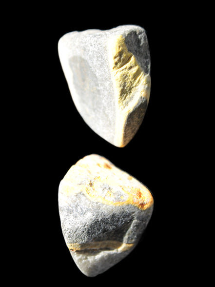 Bumblebee Jasper two natural stones 36-40g Rocks and Things Store