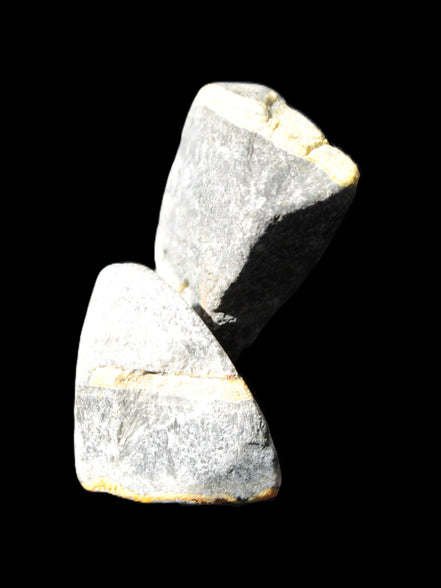 Bumblebee Jasper two natural stones 36-40g Rocks and Things Store