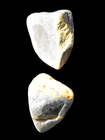 Bumblebee Jasper two natural stones 36-40g Rocks and Things Store