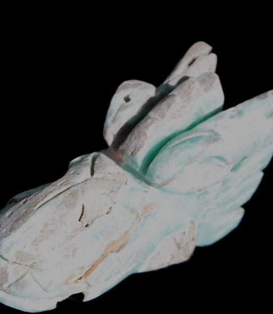 Caribbean Calcite hand-carved dragon's head 675g Rocks and Things Store