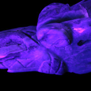 Caribbean Calcite hand-carved dragon's head 675g Rocks and Things Store