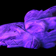 Caribbean Calcite hand-carved dragon's head 675g Rocks and Things Store