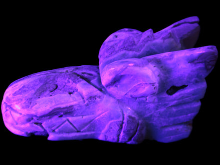 Caribbean Calcite hand-carved dragon's head 675g Rocks and Things Store