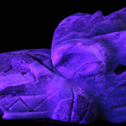 Caribbean Calcite hand-carved dragon's head 675g Rocks and Things Store