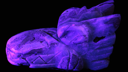 Caribbean Calcite hand-carved dragon's head 675g Rocks and Things Store