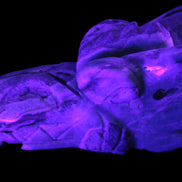 Caribbean Calcite hand-carved dragon's head 675g Rocks and Things Store