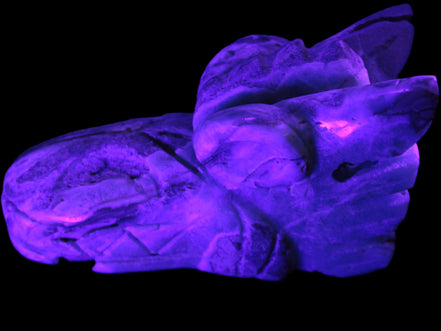 Caribbean Calcite hand-carved dragon's head 675g Rocks and Things Store