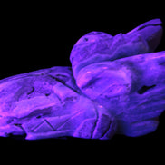 Caribbean Calcite hand-carved dragon's head 675g Rocks and Things Store