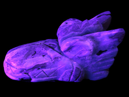 Caribbean Calcite hand-carved dragon's head 675g Rocks and Things Store