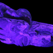 Caribbean Calcite hand-carved dragon's head 675g Rocks and Things Store