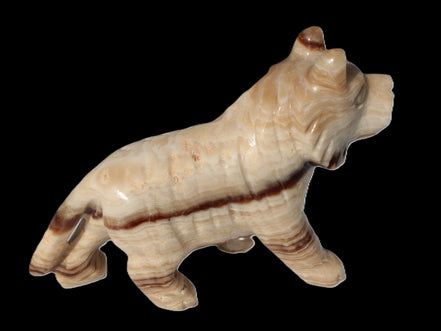 Chocolate Calcite hand-carved Wolf 572g in sunlight - Rocks and Things Store