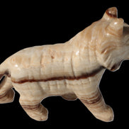 Chocolate Calcite hand-carved Wolf 572g in sunlight - Rocks and Things Store