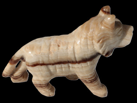 Chocolate Calcite hand-carved Wolf 572g in sunlight - Rocks and Things Store