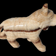 Chocolate Calcite hand-carved Wolf 572g in sunlight - Rocks and Things Store