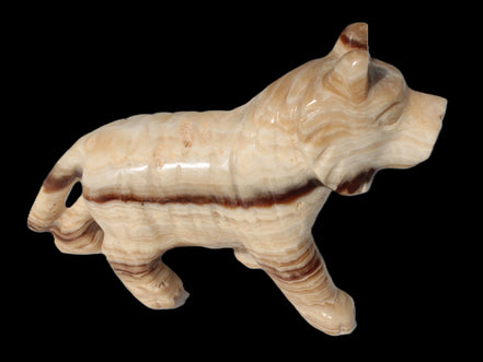 Chocolate Calcite hand-carved Wolf 572g in sunlight - Rocks and Things Store