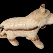 Chocolate Calcite hand-carved Wolf 572g in sunlight - Rocks and Things Store