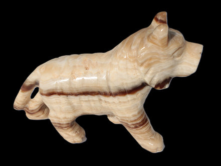 Chocolate Calcite hand-carved Wolf 572g in sunlight - Rocks and Things Store