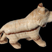 Chocolate Calcite hand-carved Wolf 572g in sunlight - Rocks and Things Store