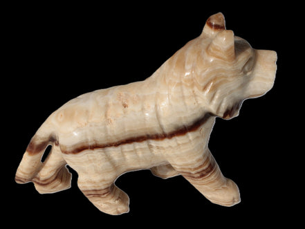 Chocolate Calcite hand-carved Wolf 572g in sunlight - Rocks and Things Store