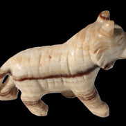 Chocolate Calcite hand-carved Wolf 572g in sunlight - Rocks and Things Store