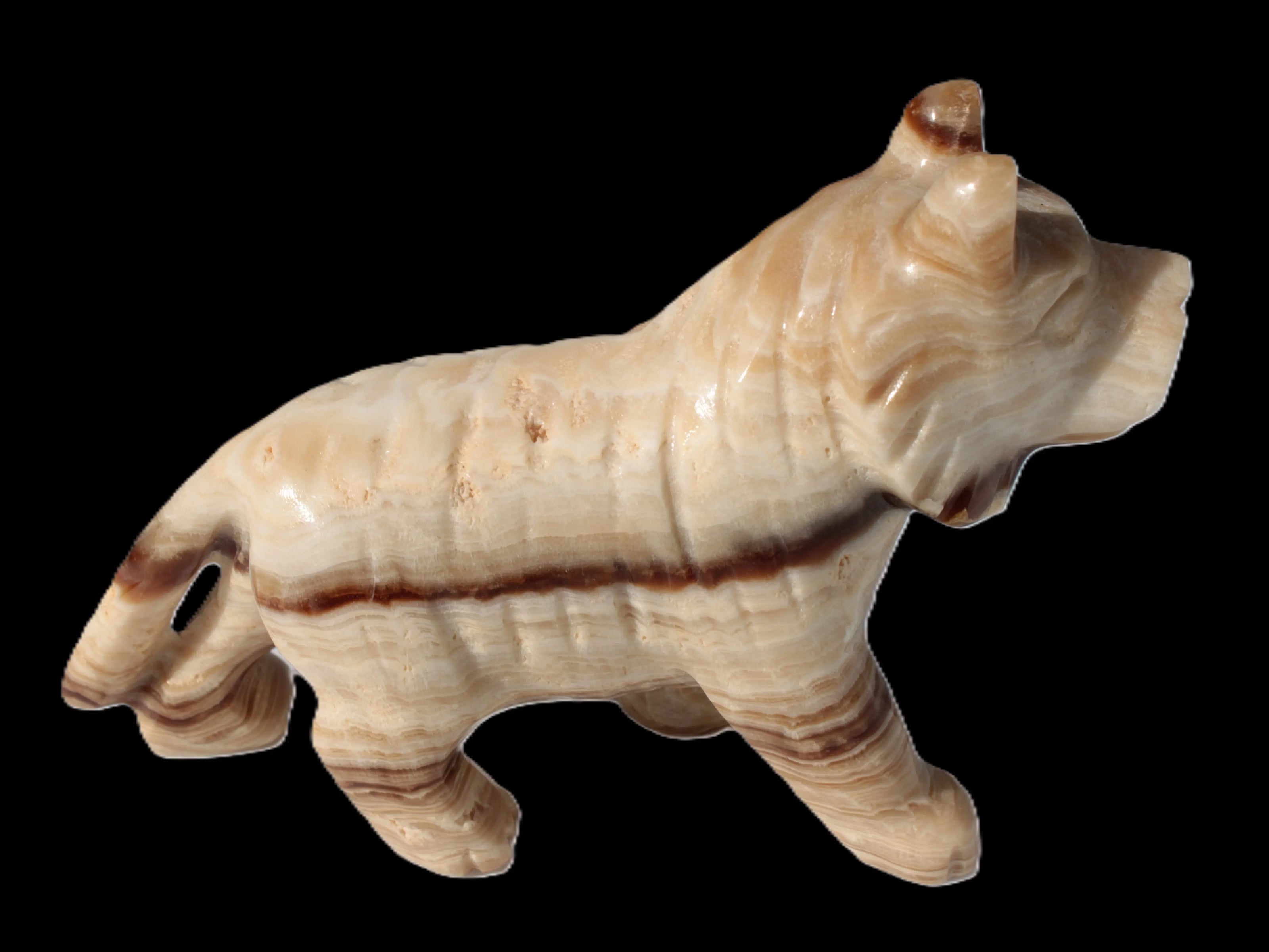 Chocolate Calcite hand-carved Wolf 572g in sunlight - Rocks and Things Store