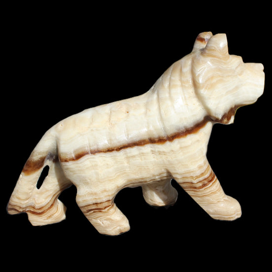 Chocolate Calcite hand-carved Wolf 572g in sunlight -  Rocks and Things Store