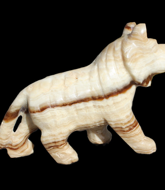 Chocolate Calcite hand-carved Wolf 572g in sunlight -  Rocks and Things Store