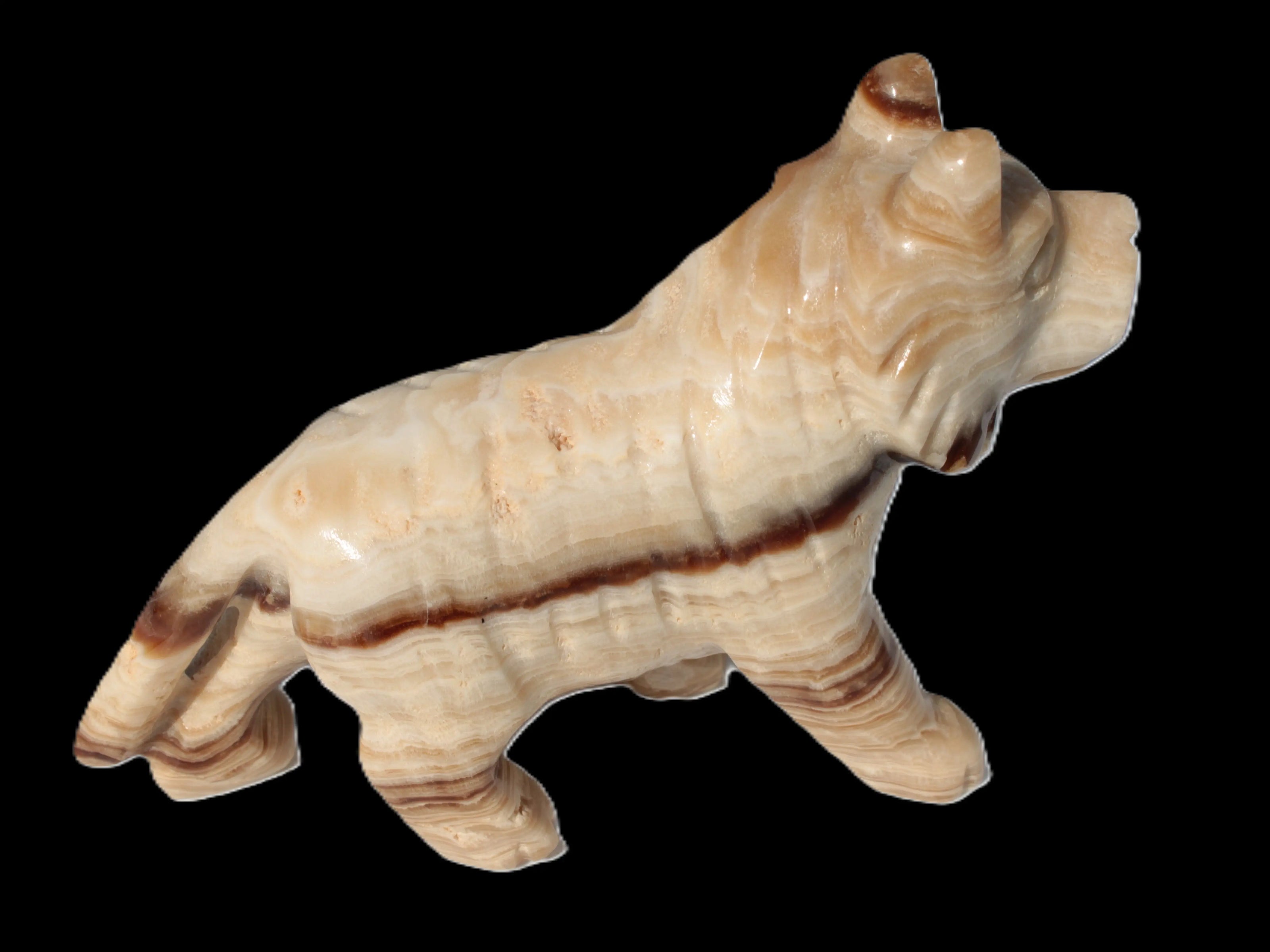Chocolate Calcite hand-carved Wolf 572g Rocks and Things