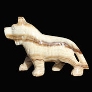 Chocolate Calcite hand-carved Wolf 572g in sunlight - Rocks and Things Store