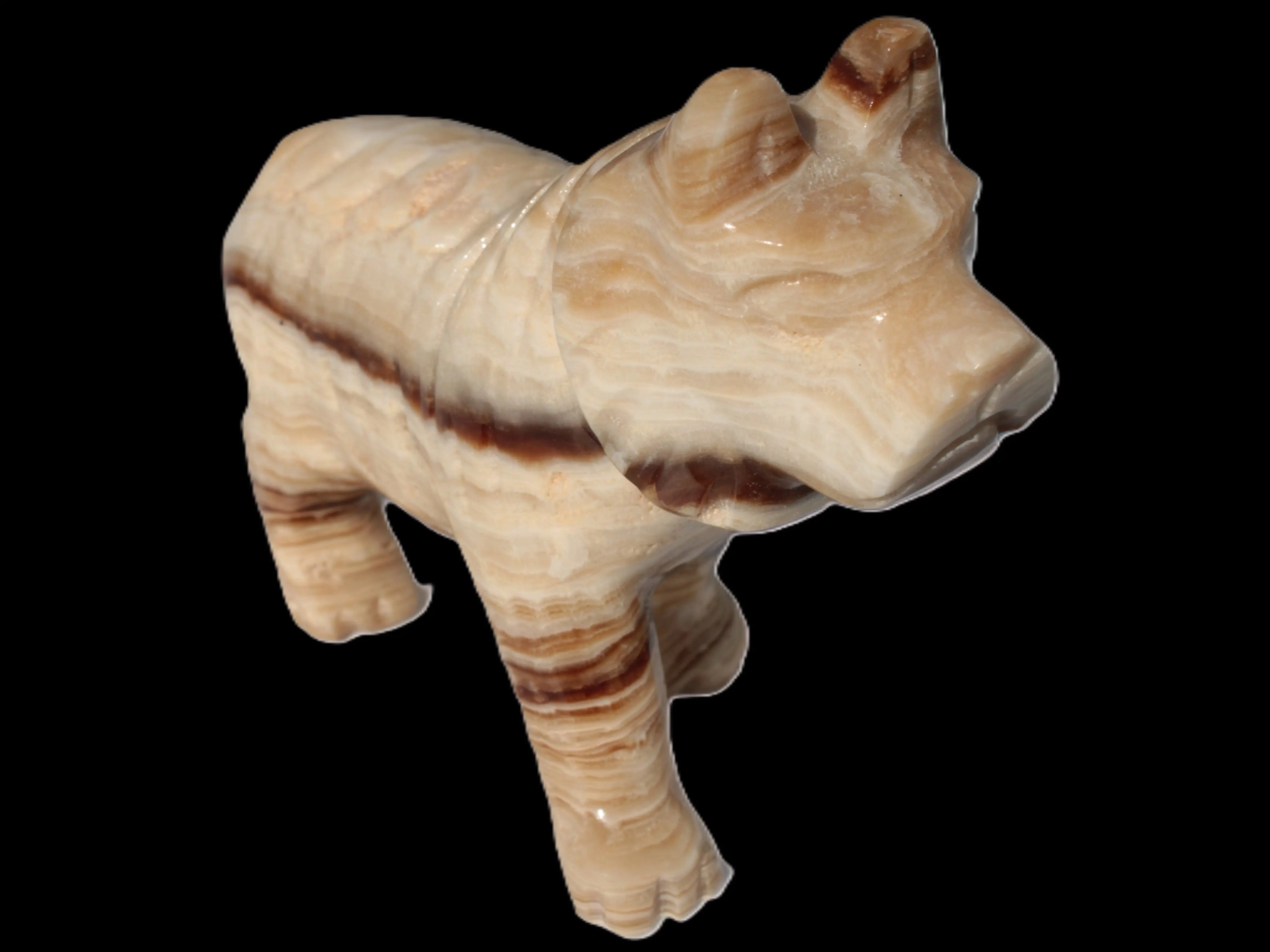 Chocolate Calcite hand-carved Wolf 572g Rocks and Things