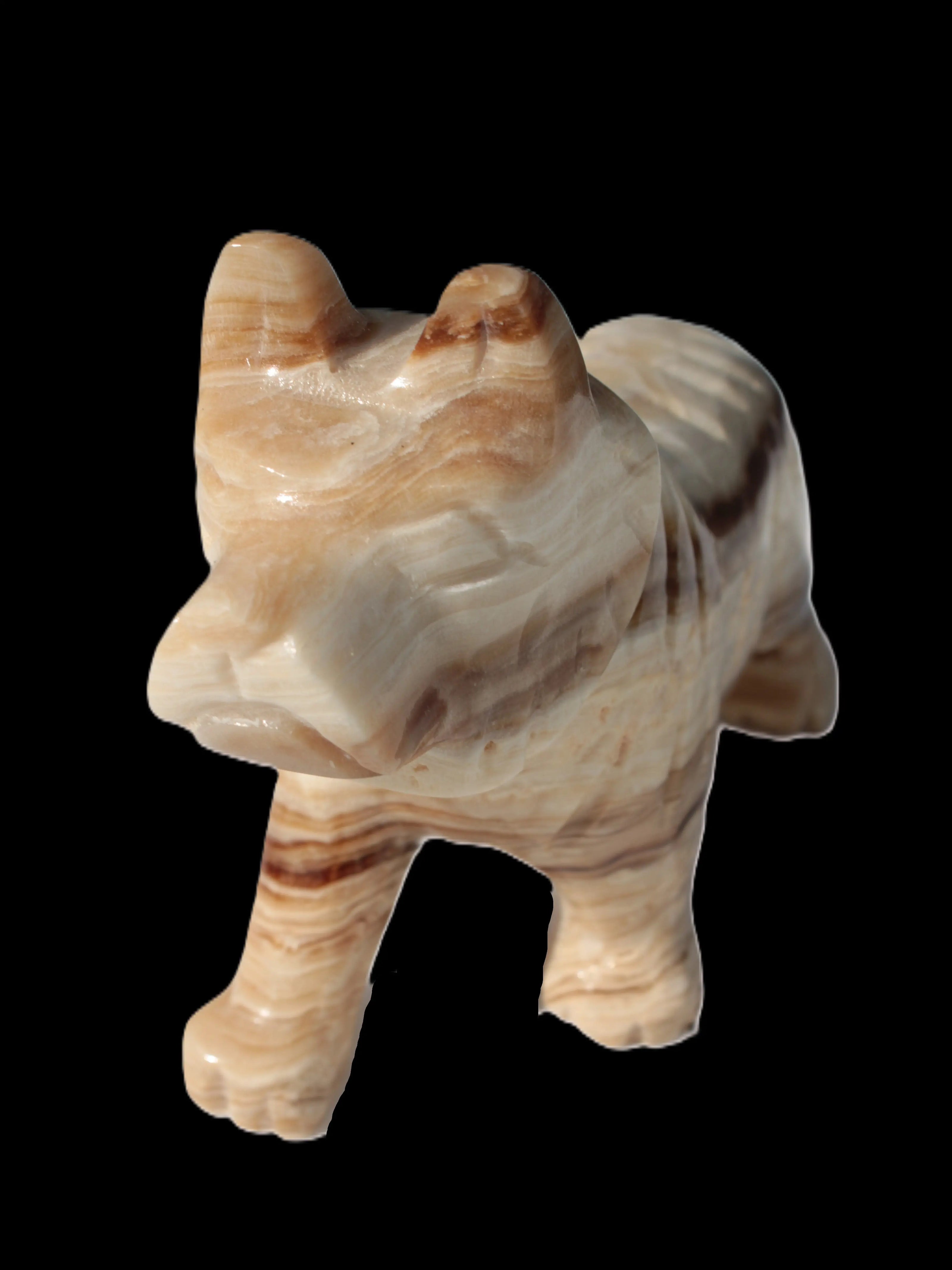 Chocolate Calcite hand-carved Wolf 572g Rocks and Things