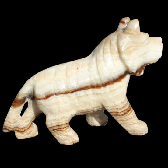 Chocolate Calcite hand-carved Wolf 572g in sunlight -  Rocks and Things Store