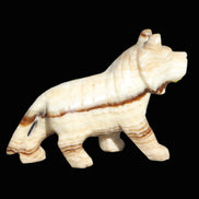 Chocolate Calcite hand-carved Wolf 572g in sunlight - Rocks and Things Store