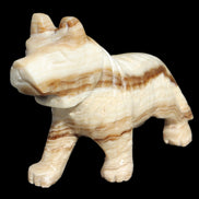 Chocolate Calcite hand-carved Wolf 572g in sunlight - Rocks and Things Store