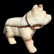 Chocolate Calcite hand-carved Wolf 572g in sunlight - Rocks and Things Store