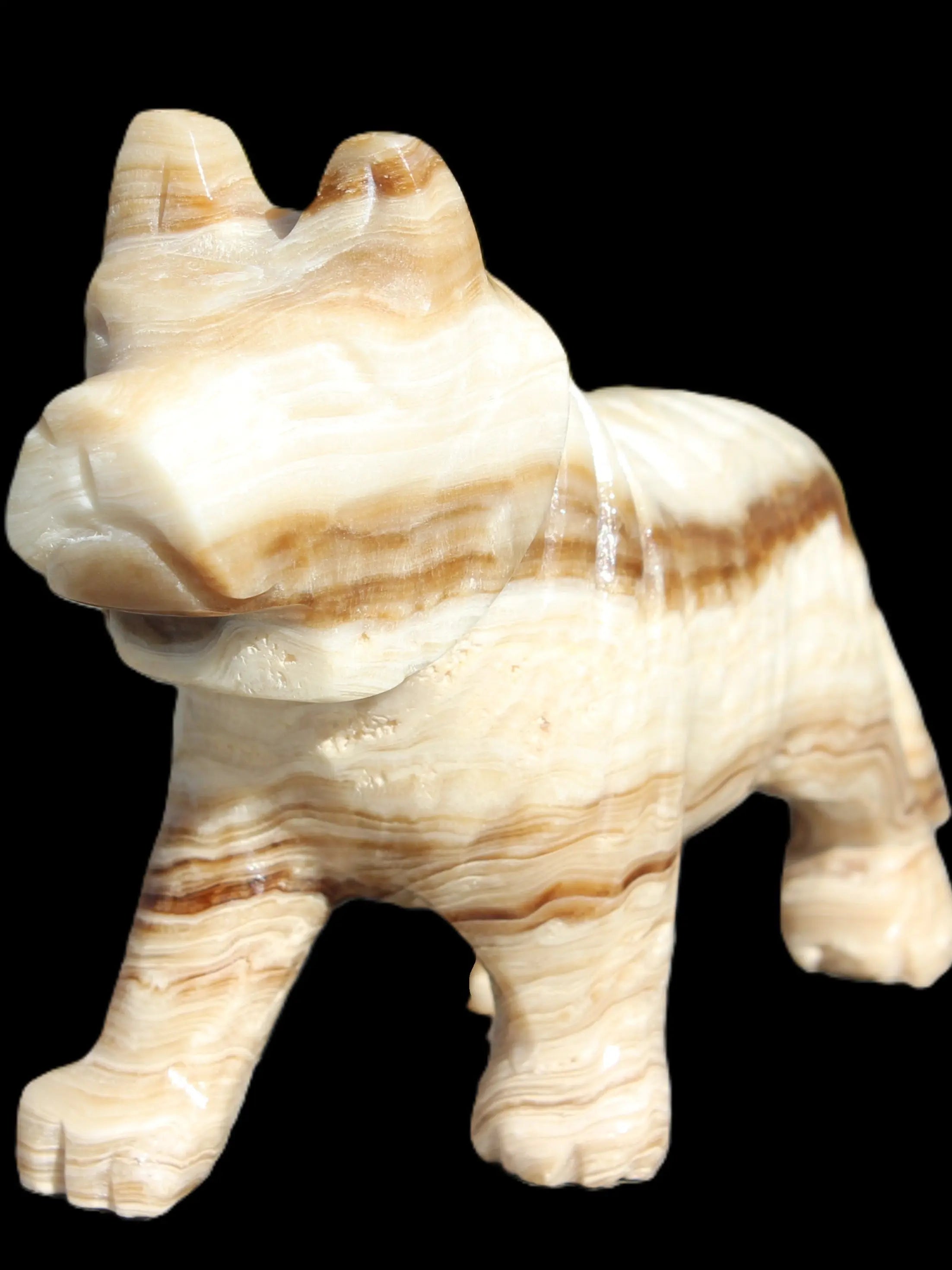 Chocolate Calcite hand-carved Wolf 572g Rocks and Things