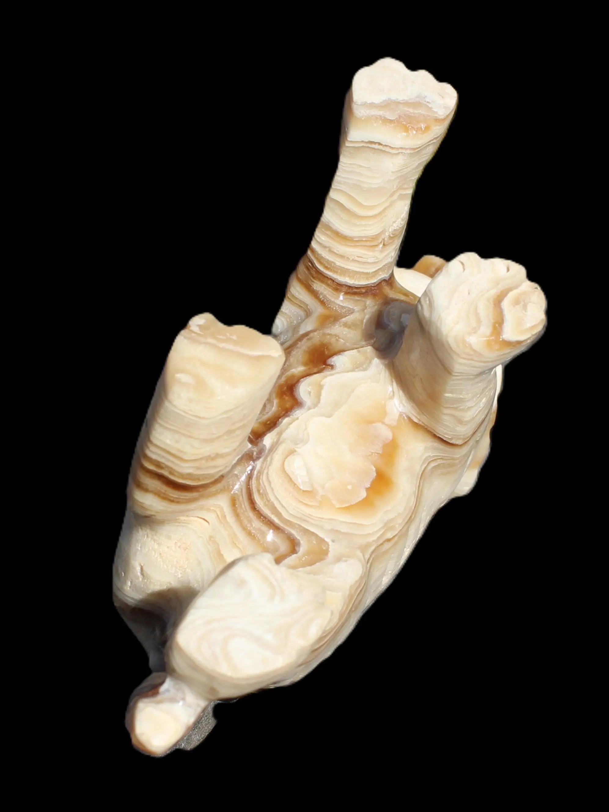 Chocolate Calcite hand-carved Wolf 572g Rocks and Things