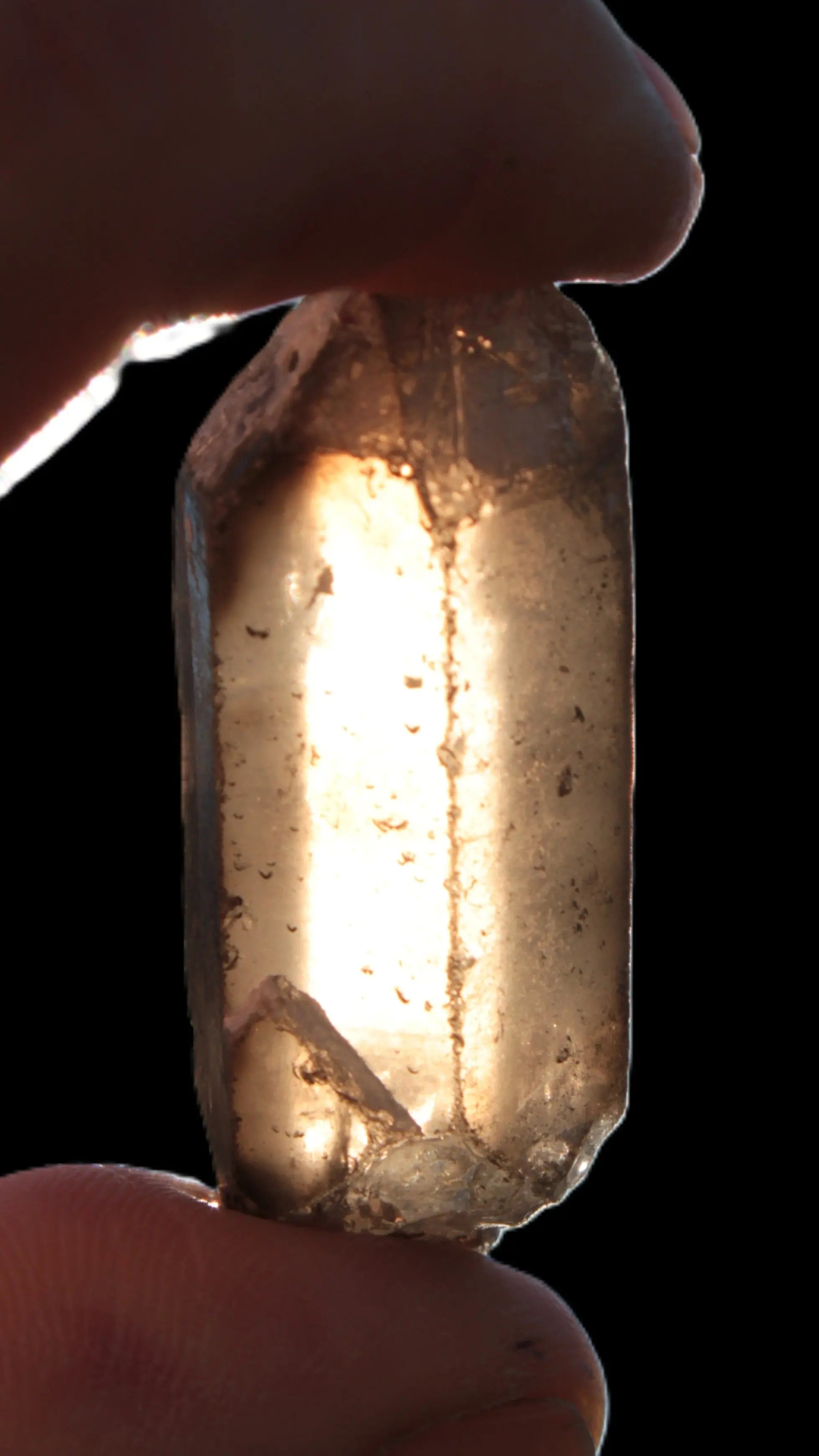 Clear Smoky Quartz double terminated crystal 47mm 120.5ct 24.1g Rocks and Things Store