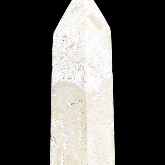 Coral Agate Limestone wand 44g in sunlight - Rocks and Things Store