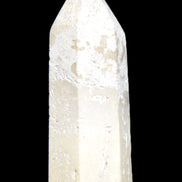 Coral Agate Limestone wand 44g Rocks and Things Store