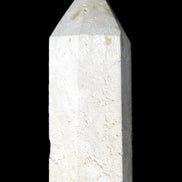 Coral Agate wand 68mm 45.7g Rocks and Things Store