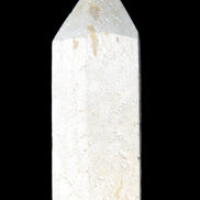 Coral Agate wand 68mm 45.7g Rocks and Things Store